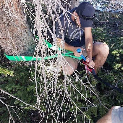 Treaty Oak Offroad Tree Saver